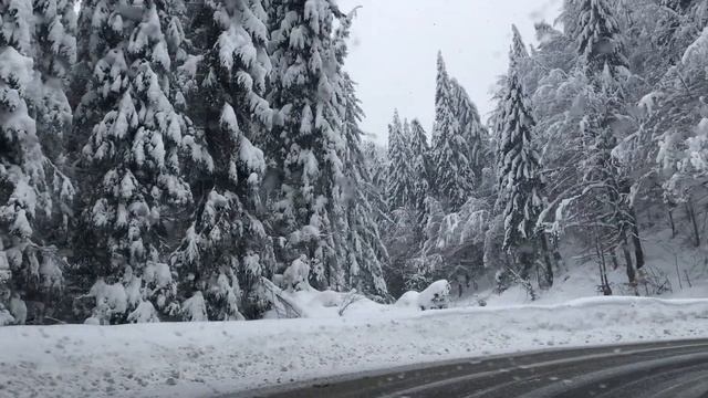 DRIVING HOME FOR CHRISTMAS-CHRIS REA-MUSIC VIDEO-DRIVING IN SNOWFALL-REALXING 🎄❄️ смотреть онлайн