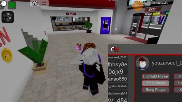 Brookhaven Script Admin Trolling Gui |Hydrogen,Fluxus,Delta,Arceus x Mobile