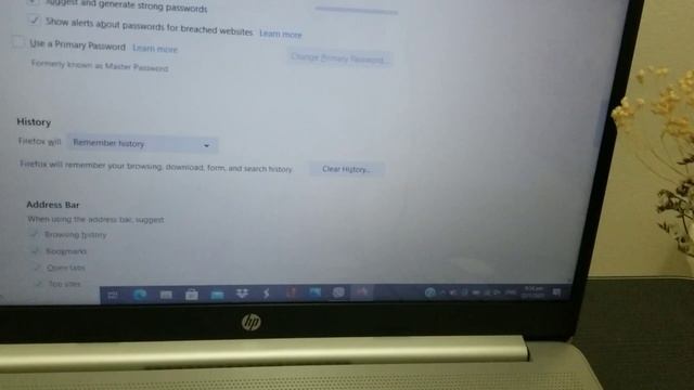 HOW TO DELETE BROWSER HISTORY ON WINDOWS 10|Elcie in Singapore смотреть онлайн