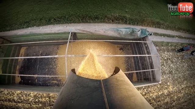 Kukurydza na ziarno 2015 [GoPro4] Case Axial Flow 5130 & Case Maxxum 115 Vs 20ton ☆ Corn Harvest смотреть онлайн