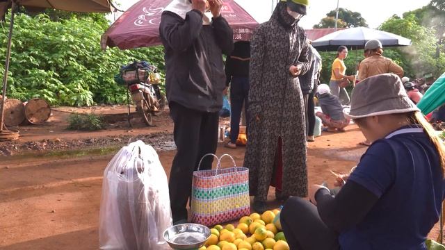 Harvesting Gac Fruit To The Market To Sell Make Sweet And Sour Chicken Feet Salad! Hilary's Daily L