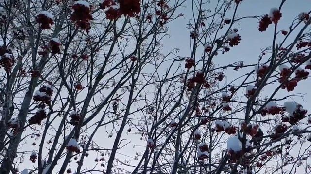 Перовы// Как можно выставлять на посмешище своего больного ребенка?! // Обзор видео// смотреть онлайн