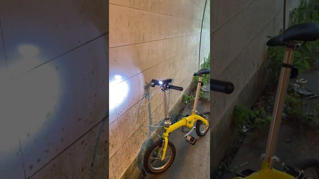 DAHON DOVE PLUS 2020 with Schwalbe Big Apple 14×2.00 雨宿り（Rain shelter）2021/7/31 смотреть онлайн