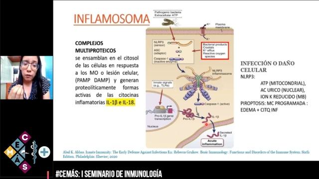 SEMINARIO # 01 DE INMUNOLOGÍA: RECEPTORES DE LA INMUNIDAD INNATA Y SISTEMA DEL COMPLEMENTO смотреть онлайн