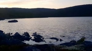 Сказки дедушки Шамана. Лужа бешеной тётки. (HD)