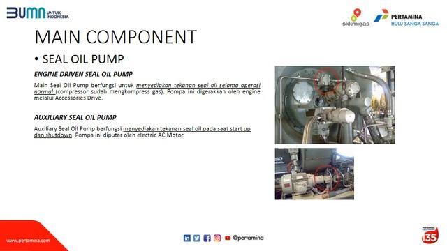 Sesi 2.5 Booster Compressor Wet Seal System смотреть онлайн