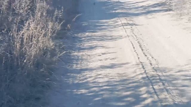 Мерседес Актрос 4144. Сороконожка на картошке. смотреть онлайн