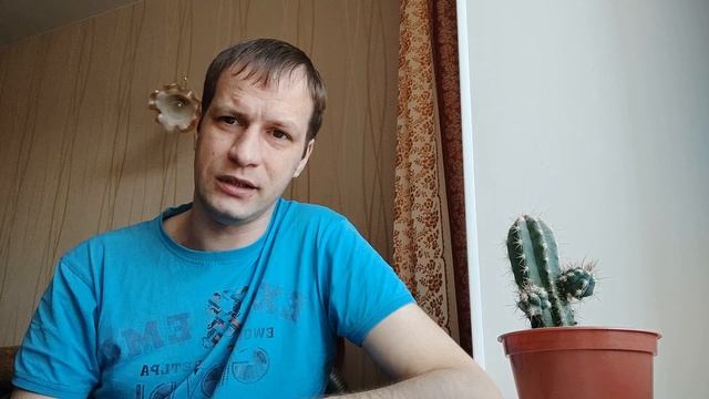 Буйные Арестанты в Местах Лишения Свободы смотреть онлайн