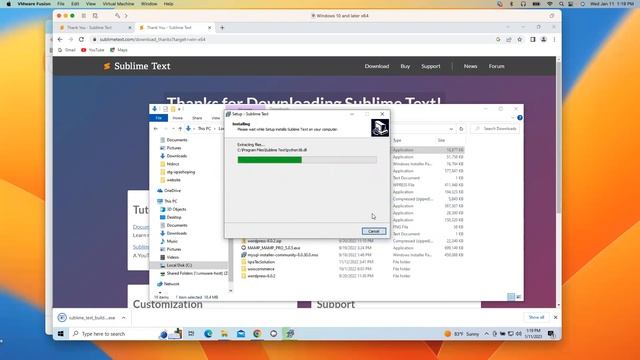 How to Download and install Sublime Text Editor on Windows for free смотреть онлайн