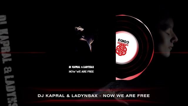 Dj Kapral, Ladynsax - Now We Are Free (2024) смотреть онлайн