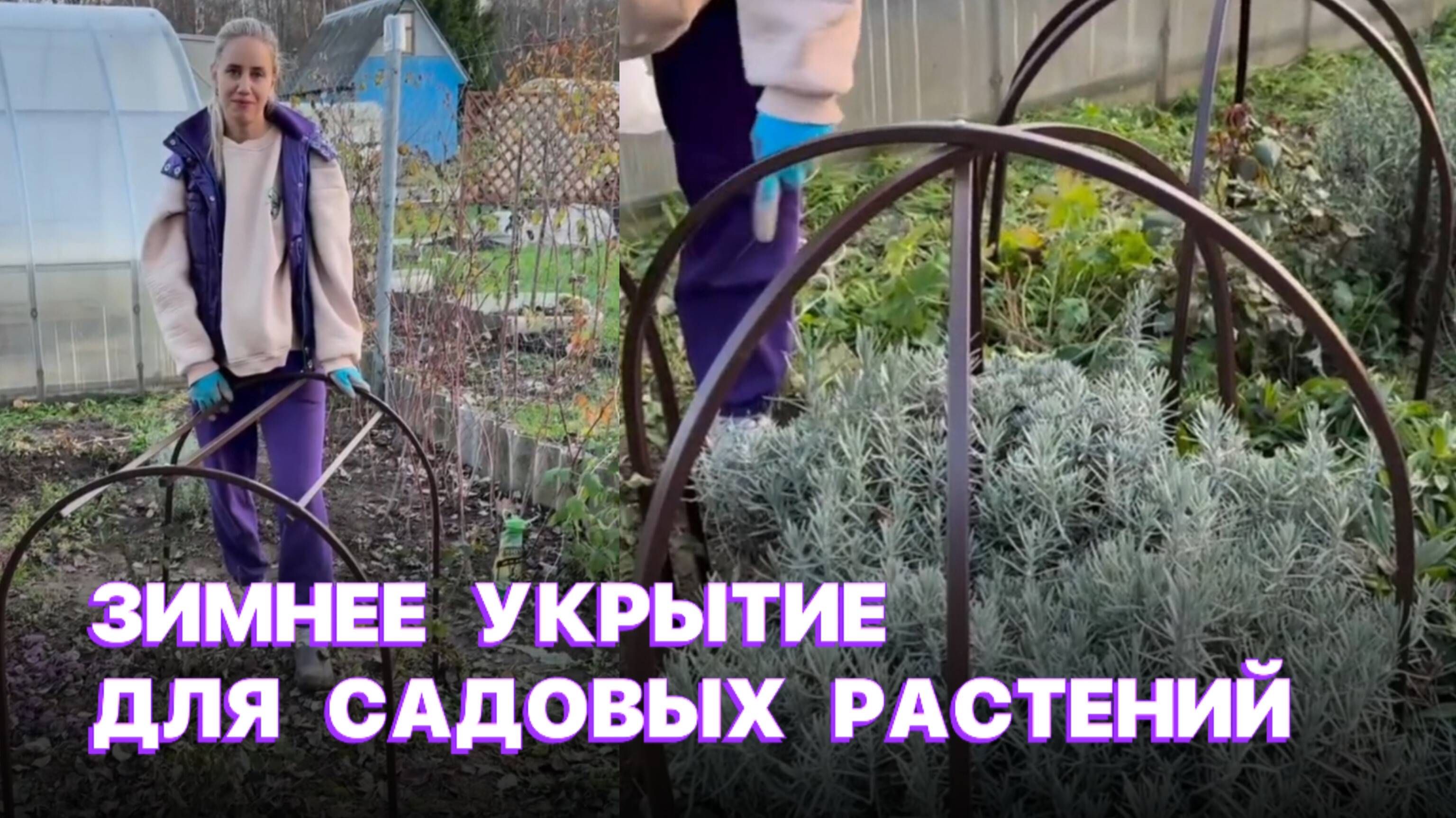 Зимнее укрытие для садовых растений 🌿 смотреть онлайн