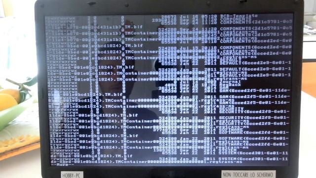 bypassare password windows xp/vista/7/8/8.1 смотреть онлайн