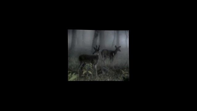tv girl - cigarettes out the window (sped up & reverb) смотреть онлайн