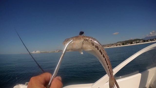 Рыбалка в Сочи, ядовитый дракон. смотреть онлайн