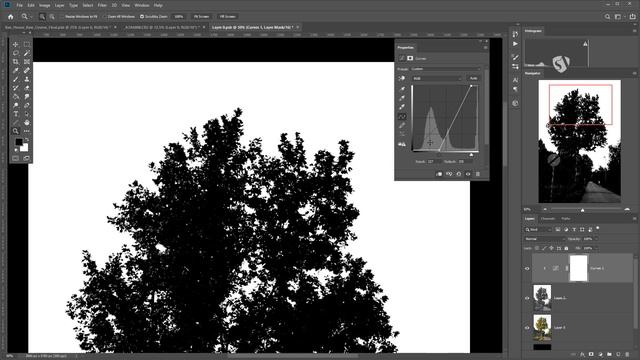 3.7.3.2 Different ways to cut out a photo - exercise смотреть онлайн