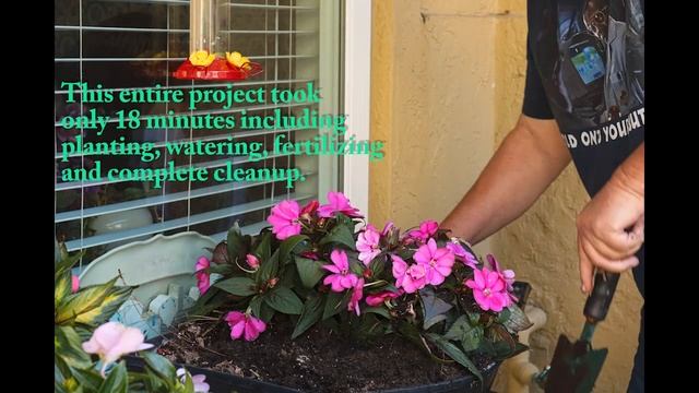 Container Gardening Made Easy...You Will Love It in Your Garden. Here is a Complete Demonstration смотреть онлайн