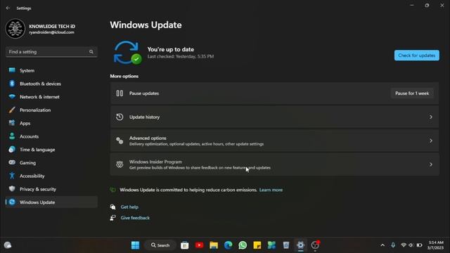 Windows Insider Canary Channel смотреть онлайн