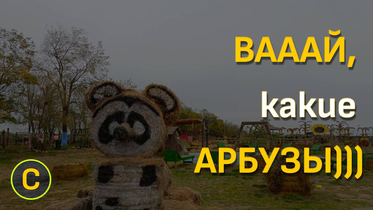 Ставрополь. Бахча Пономаревых)))) смотреть онлайн