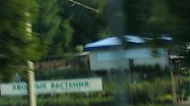 DSCN5584Лотосовый рай  Гуамское ущелье июль 2022