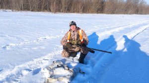 Загонная охота на зайца русака в Самарской области.