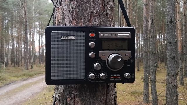Tecsun S-8800 Nasłuch W Terenie