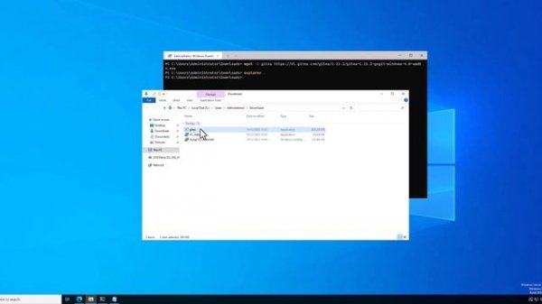 Installing Gitea on Windows Server 2022