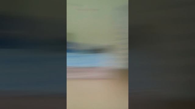 ТАЙНАЯ СЛЕЖКА ЗА ПАЦАНАМИ В ЛАГЕРЕ(СПАЛИЛИ) смотреть онлайн