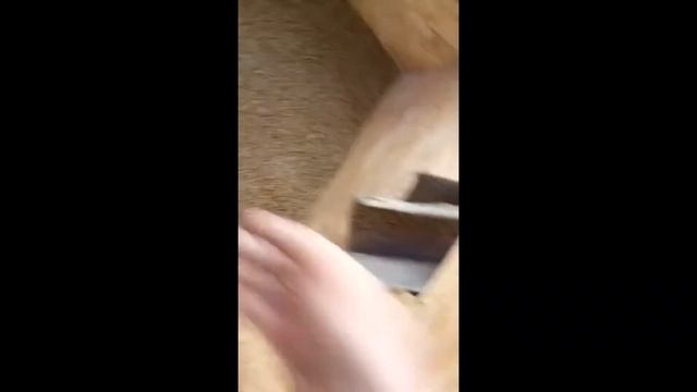 Отзыв о курском грануляторе смотреть онлайн