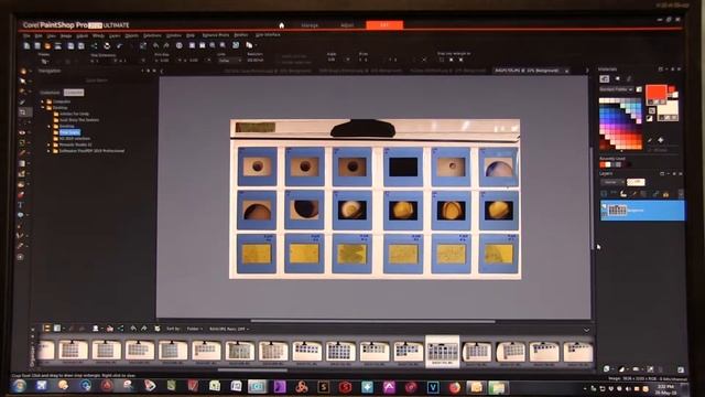 Lynne Selwood Slide Scanning Process смотреть онлайн