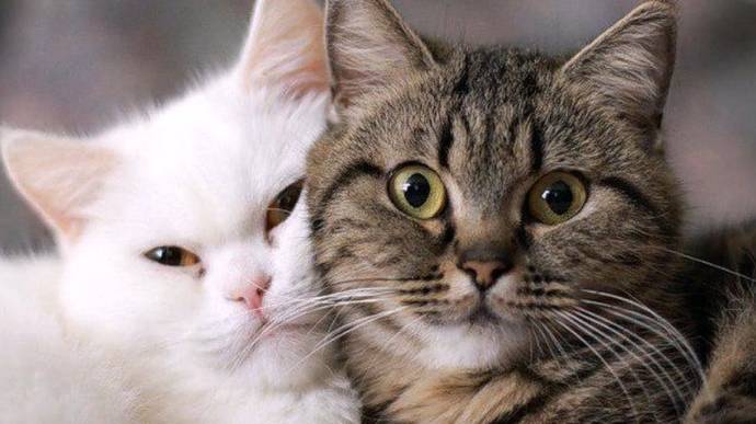 Группа Горячие Головы - Нравится мне смотреть онлайн