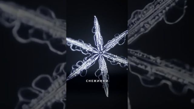 Снежинки - зимние цветы! - Наталия Лансере - Детские песни и клипы - Snowflake / Best Children Songs смотреть онлайн