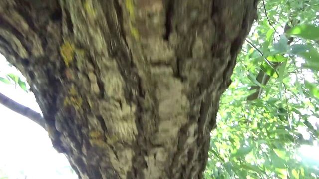 Art Manij Видео в полете📹 монтаж