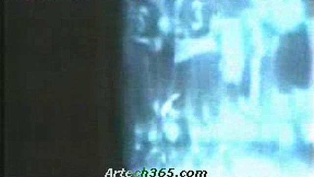 Супербизоны