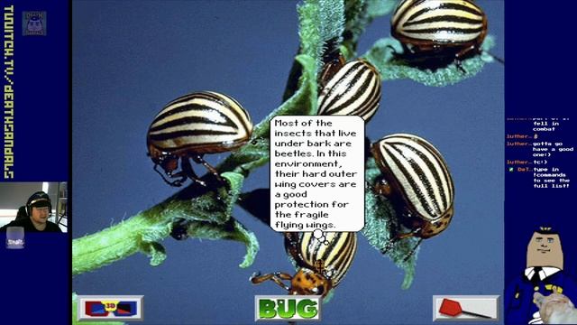 Bug Adventure (Dos/Windows 3.1): A Buggy Mess смотреть онлайн