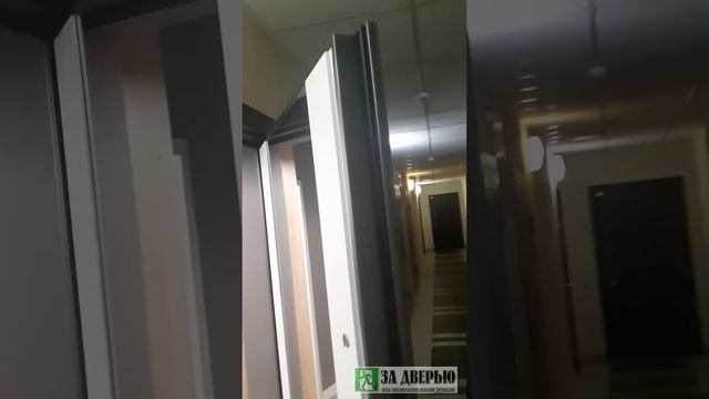 Отзыв о двери Гранит С3 зеркало смотреть онлайн