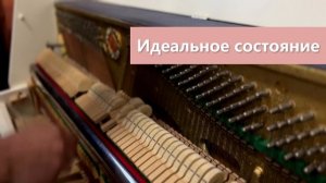 Фортепианный центр Дмитрия Честнова(2).mp4