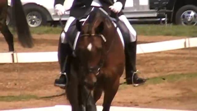 Scott Travers on Franchesca Westbrook Dressage смотреть онлайн
