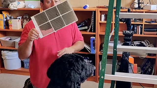 Gross, dusty, air filters. You need to clean your window air conditioner air filters! смотреть онлайн