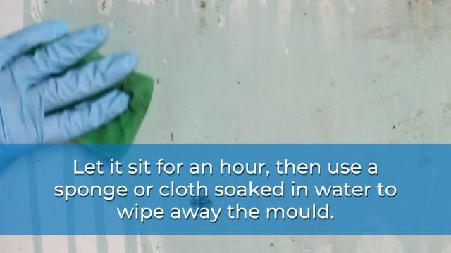 How to Clean Mould From Walls (Vinegar, Bleach & More Hacks!) смотреть онлайн
