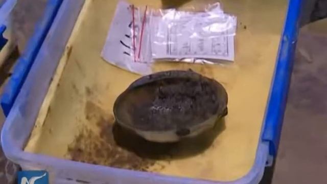 Rare jade cup, decorations unearthed in 2,000-year-old tomb смотреть онлайн