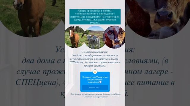 Развивающий природный лагерь для детей ПОТОК ЖИЗНИ смотреть онлайн