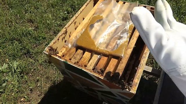 Осмотр гнезда. Пчеловод выходного дня смотреть онлайн