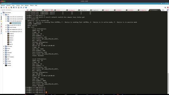 HPE Synergy Virtual Connect LACP with VMware ESXi смотреть онлайн