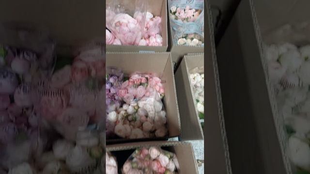 Поставка цветов 15.10.2024: Эквадор, Голландия, Колумбия, Россия.#МистиБаблз #СильваПинк #Бомбастики