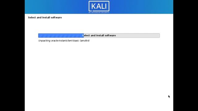 How to install kali linux 2020.4 смотреть онлайн