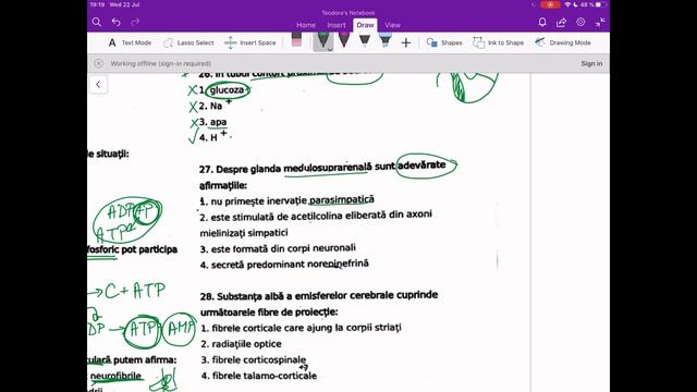 Biologie comentată și explicată - admitere MG, UMFCD, 2018 смотреть онлайн