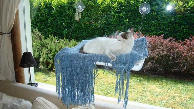 KITTY COT - World's Best Cat Bed Window Perch смотреть онлайн