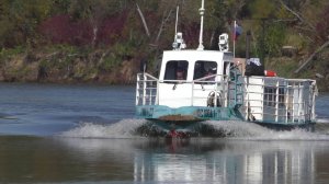 Эта Нельма сводит с ума Игра нельмы крупным планом .Рыбалка в Промборе!