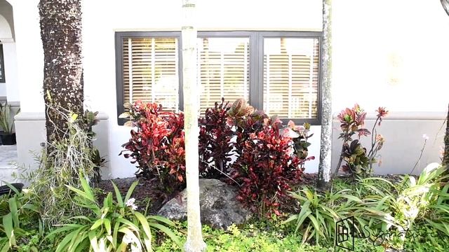 Customer Testimonial: "EXCELLENT! My House has been 90% Changed" / Signature Impact Windows in Miam смотреть онлайн