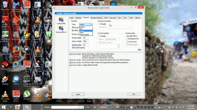 Tunnelier: Bitvise SSH Client